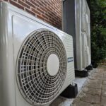 244435736_1223305308143428_4792530161768734773_n